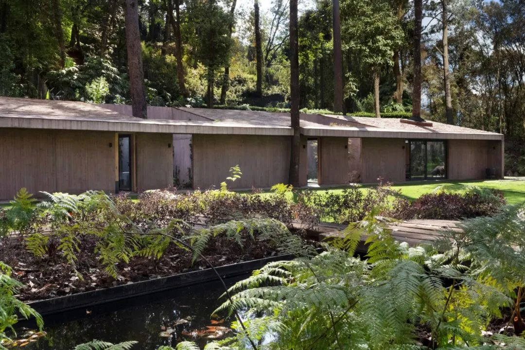 诗意的实用主义 | 墨西哥 Dellekamp 建筑公司作品解读-30