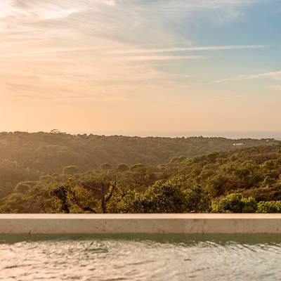 玫瑰岩别墅丨Manuel Aires Mateus-55