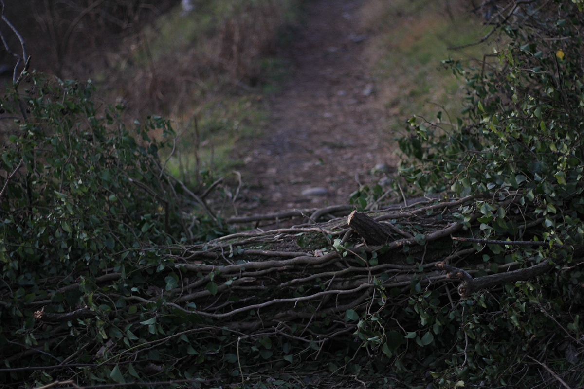 NATURA URBANA · 绿色自然的城市生活丨意大利米兰丨Francesca Teresa Quaranta-13