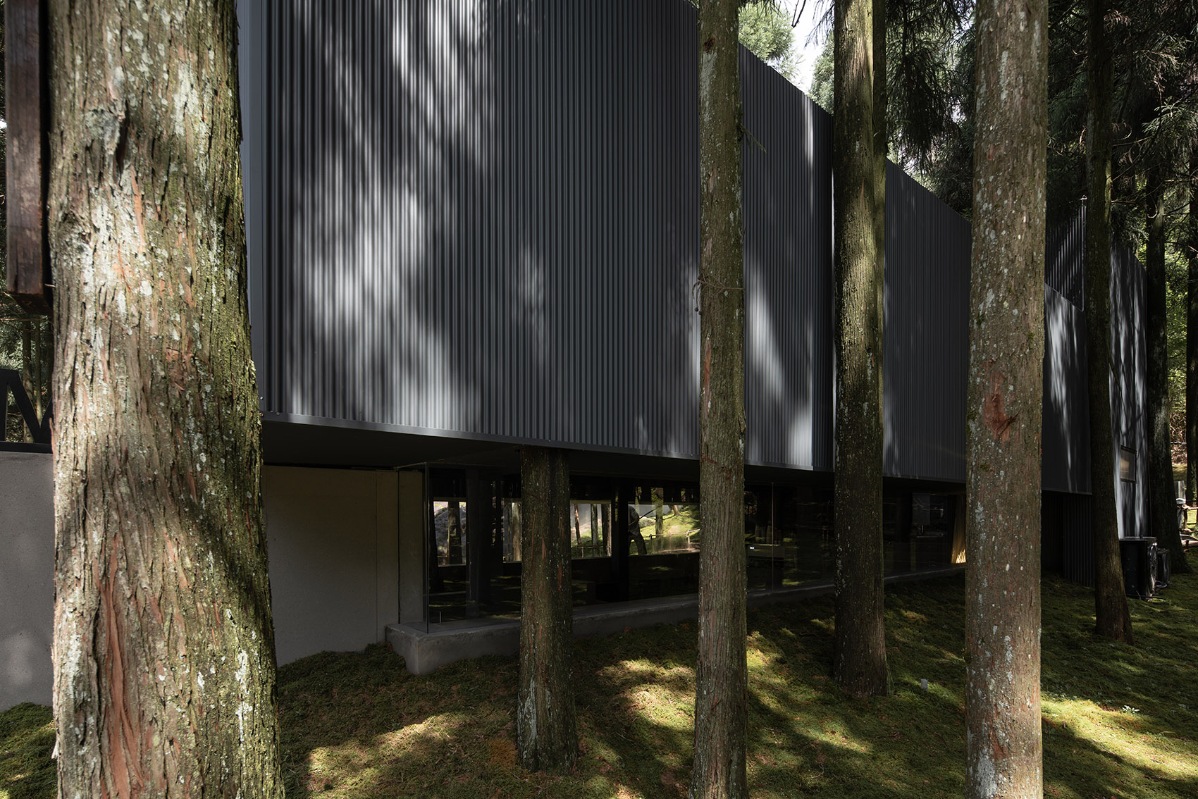 MOJ 森林咖啡丨中国温州丨杭州偲所设计-29