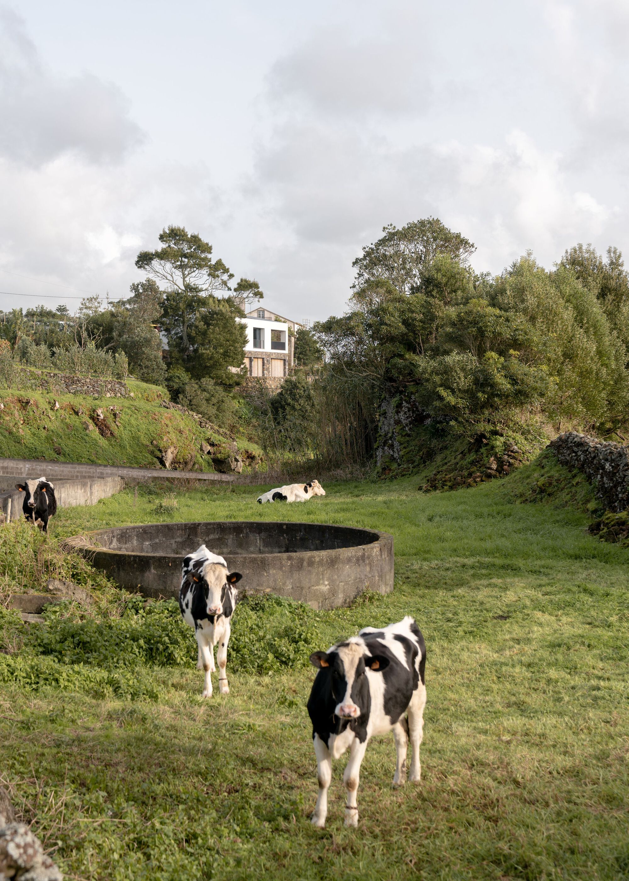 利夫拉门托大厦丨葡萄牙蓬塔德尔加达丨Mezzo Atelier-29