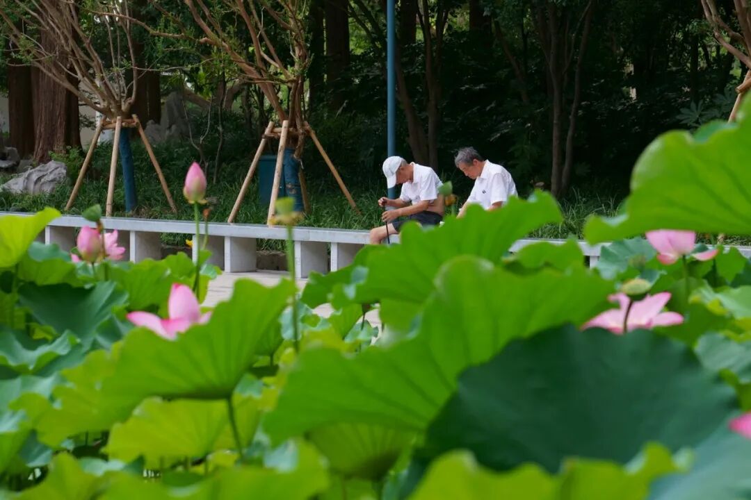 中国园林·理事专栏|“拓”之力量：杨浦公园改造纪实(三)-135
