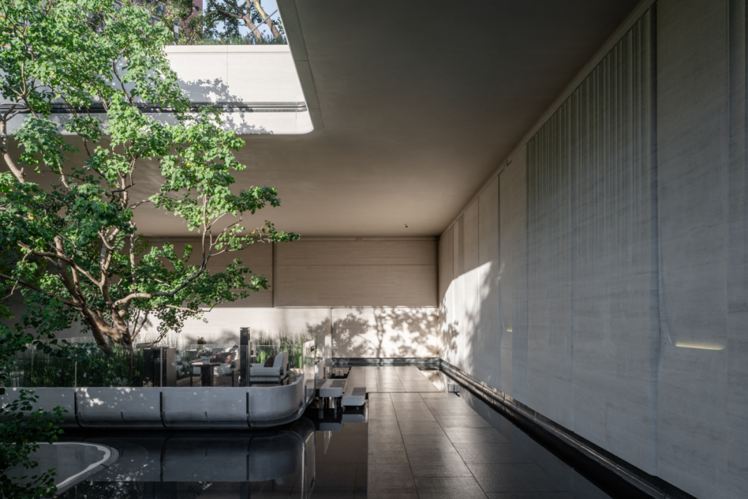 招商·康定壹拾玖 老静安印记 梧桐下永恒丨中国上海丨柏熙标识-26