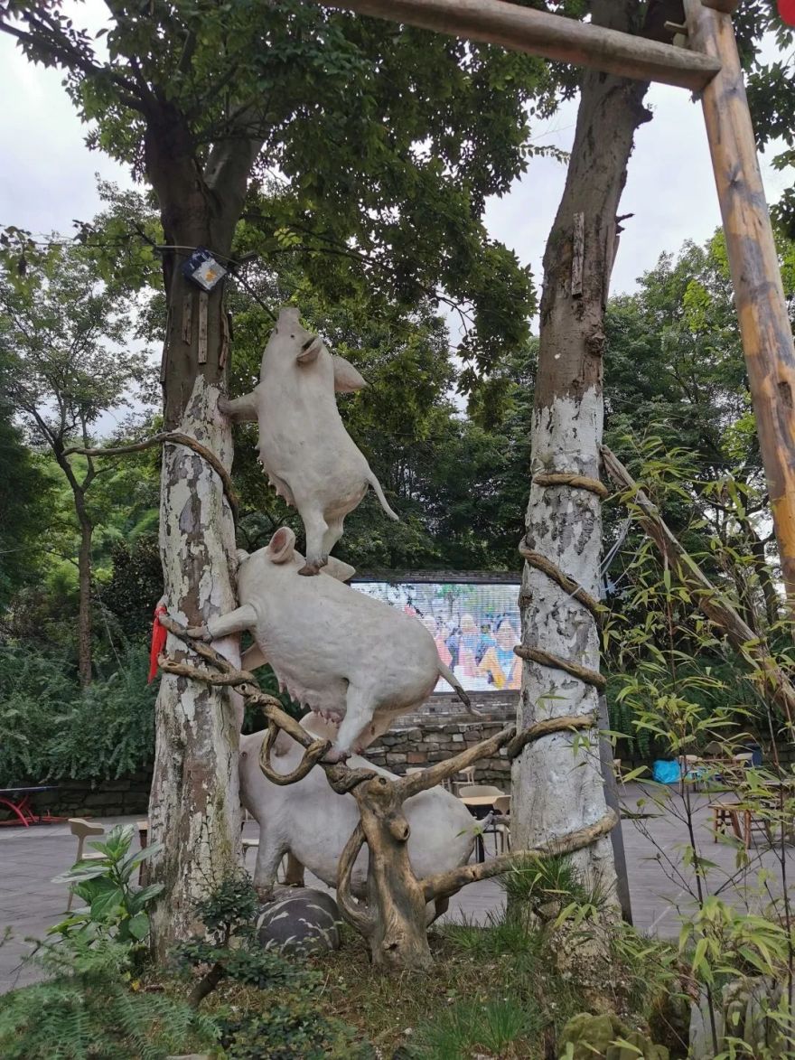 成都幸福公社 · 乡村里的幸福设计丨中国成都-5