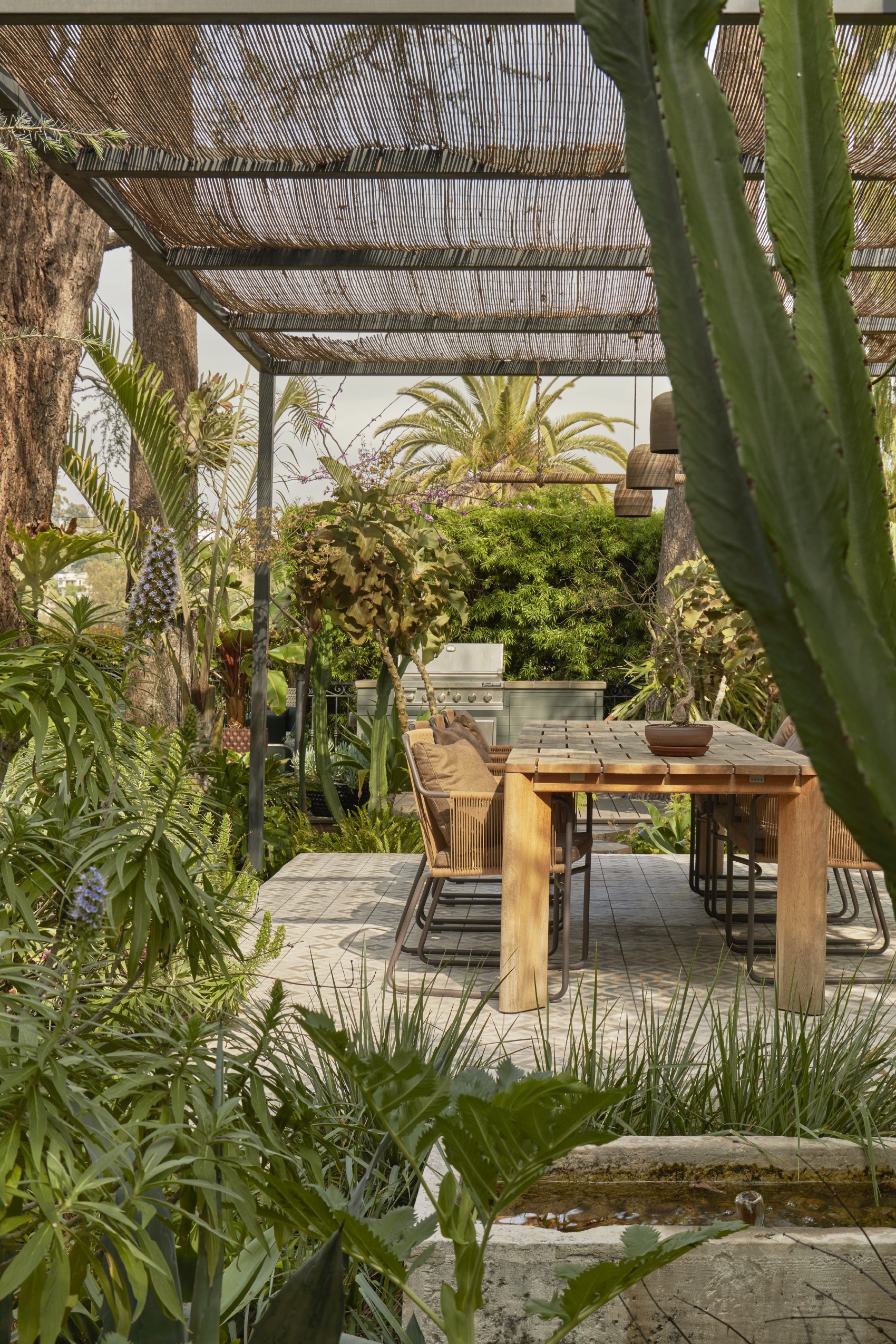 门前野趣丨TERREMOTO-115