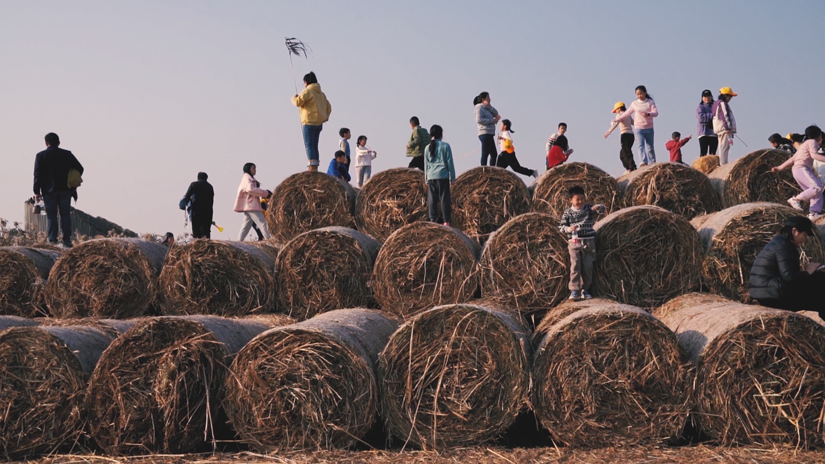 疗愈之“山”丨中国岳阳丨杜扬工作室-94