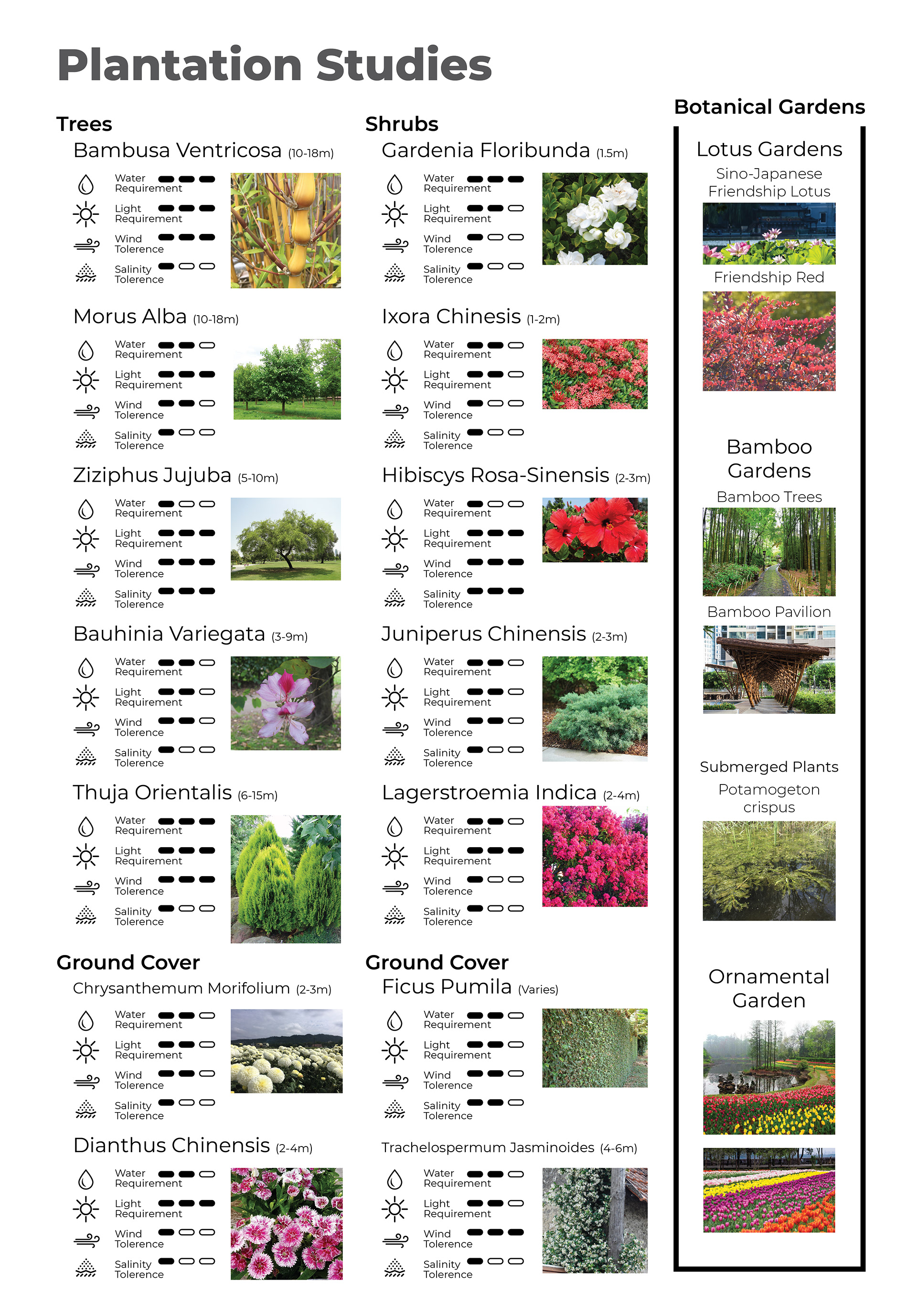 扬子江 一座年轻有韧性的城市丨中国武汉丨WDS Egypt-175