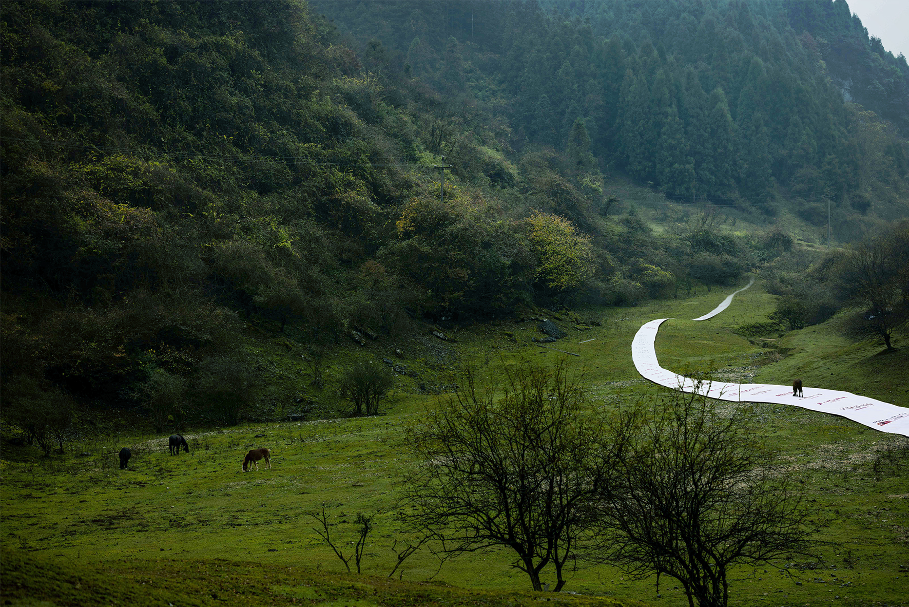 天猫双 11 必买榜丨中国四川丨天猫,天与空,不是美术馆-16