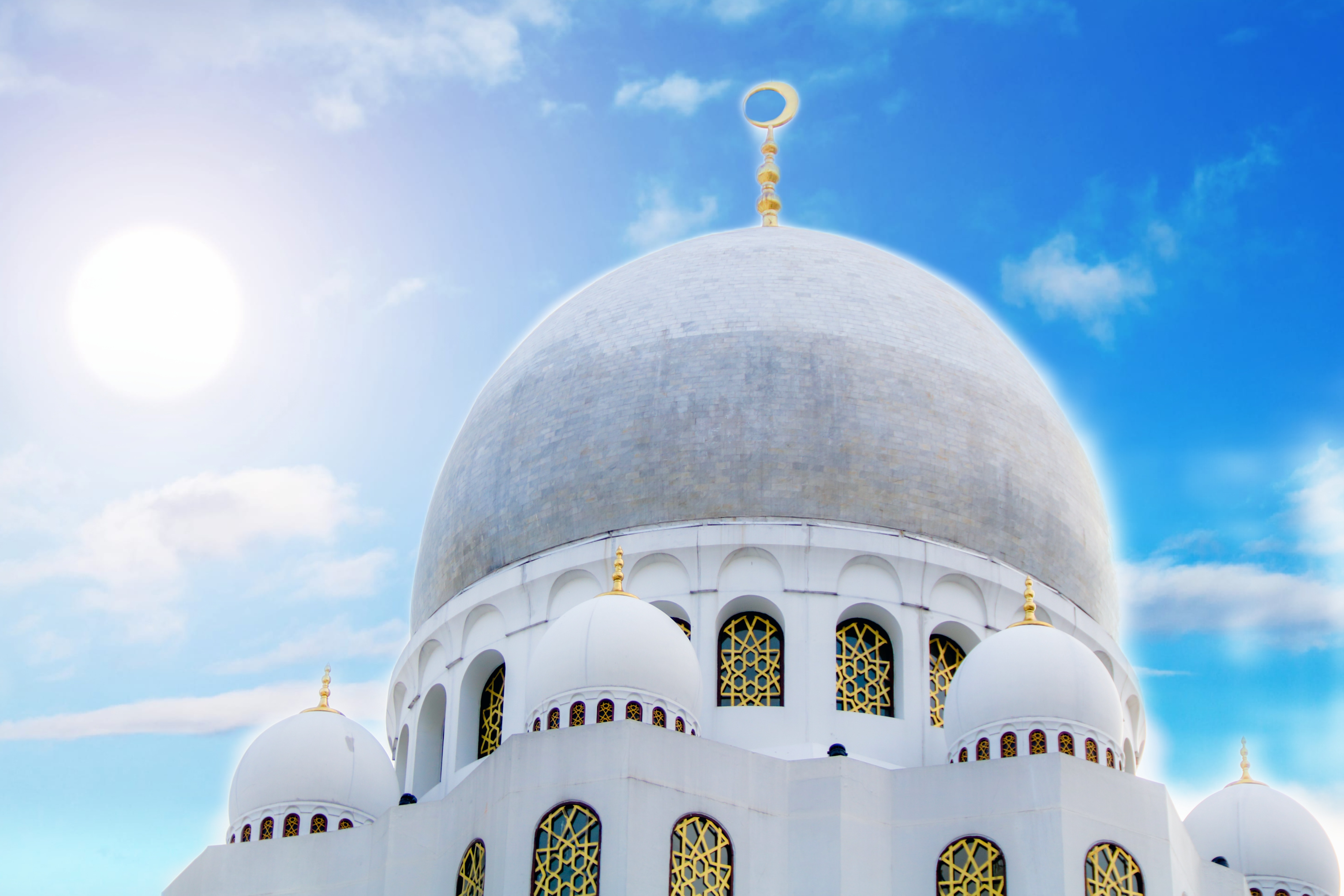 丨无相关信息-8