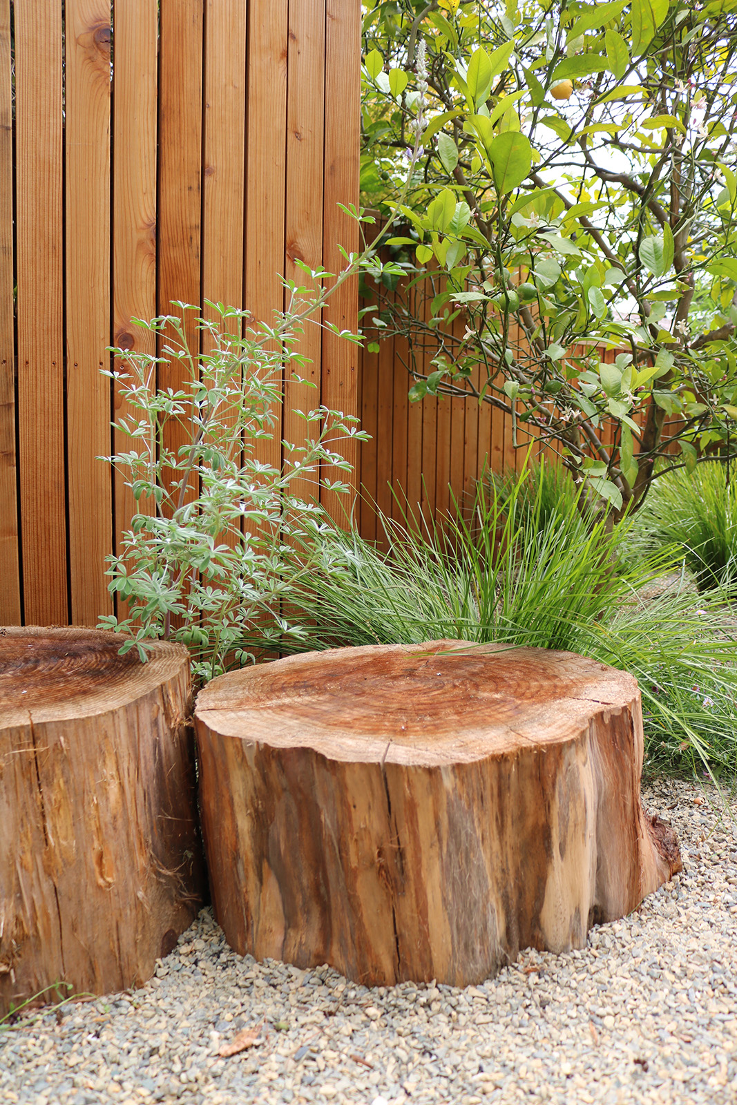 身边风景 | Soft Studio-81