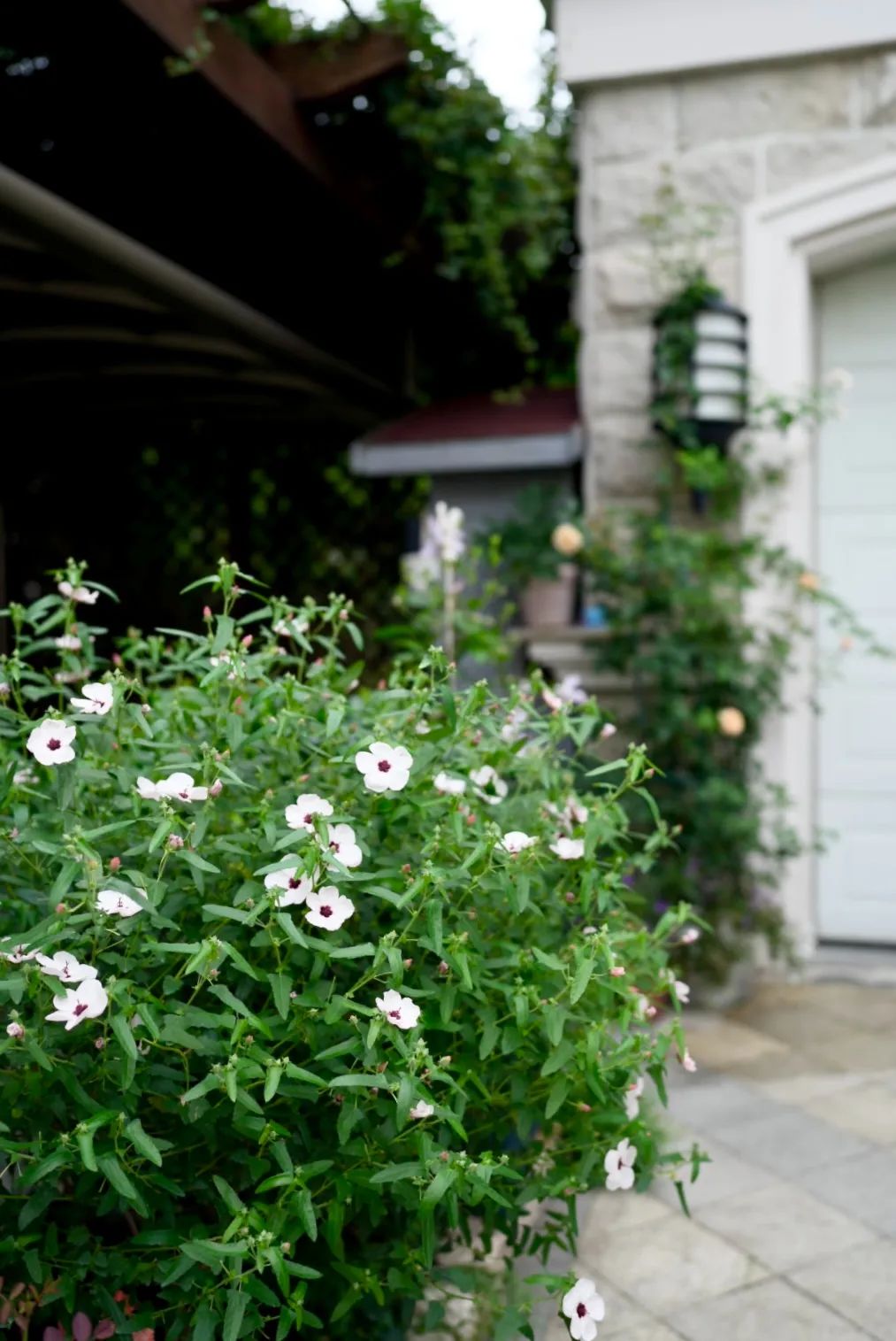 一米花园丨中国上海丨专业设计团队-62