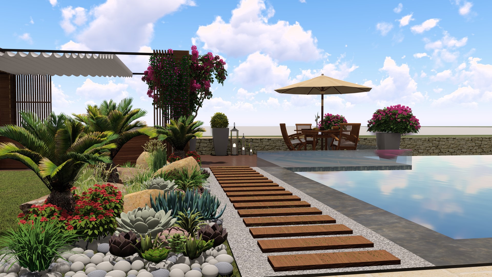 北海岸海贝壳丨埃及丨Amr Emara-4