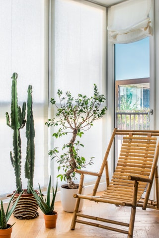 米兰都市绿洲 | 建筑师 Monica Pizzuti Occhipinti 的绿色魔法-20