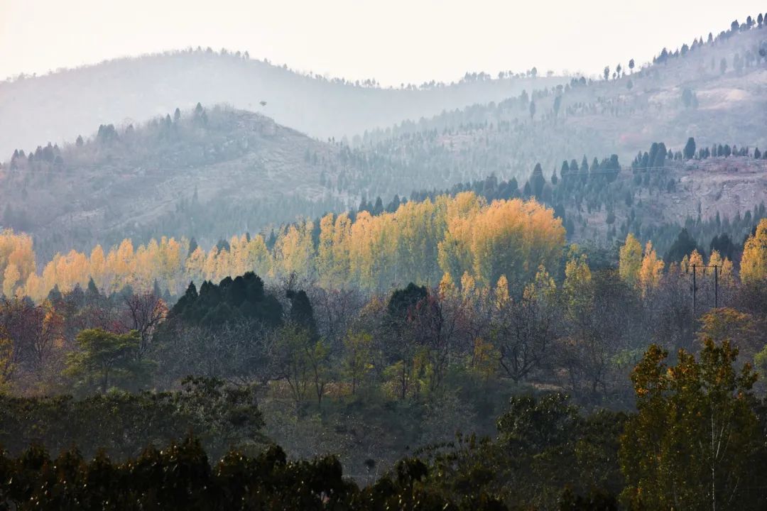 乡建之路 · 左靖与大南坡村的“高级气质”塑造丨中国河南丨左靖工作室-6