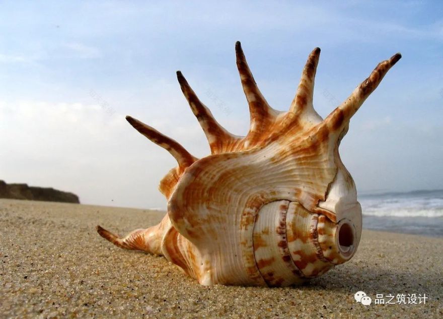 椰风海岸商业空间,展现新桂系设计魅力-22