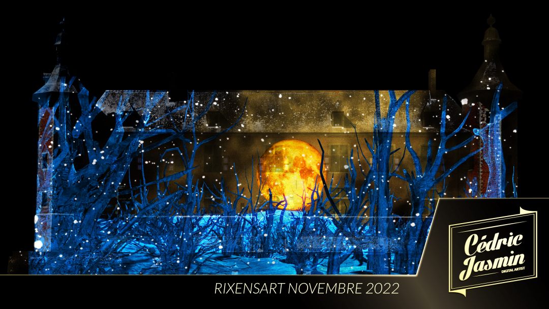Video Mapping Rixensart-1