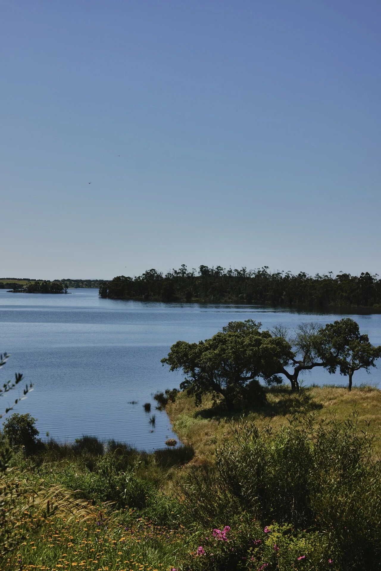 葡萄牙名厨 José Avillez 湖畔居所 Casa Nossa丨Joana Astolfi 与 Studio Astolfi 团队-55