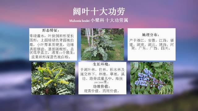 秋凌景观陪伴你学习的第3128天-34