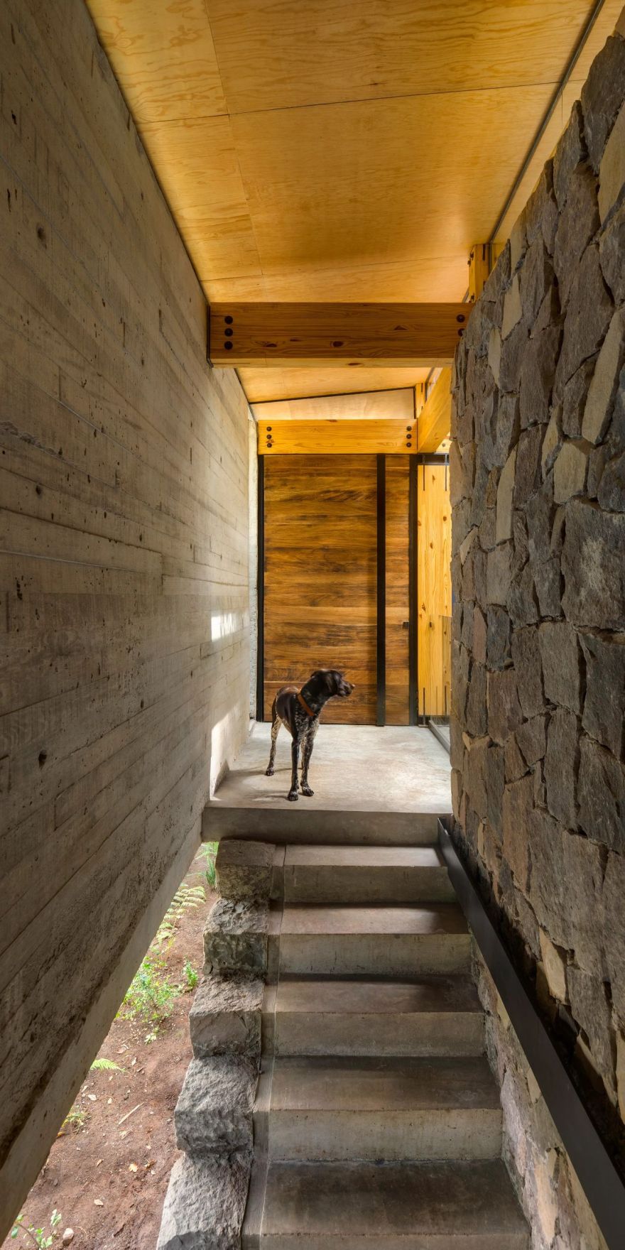 周末静修丨美国加利福尼亚丨Hammer and Spear-101