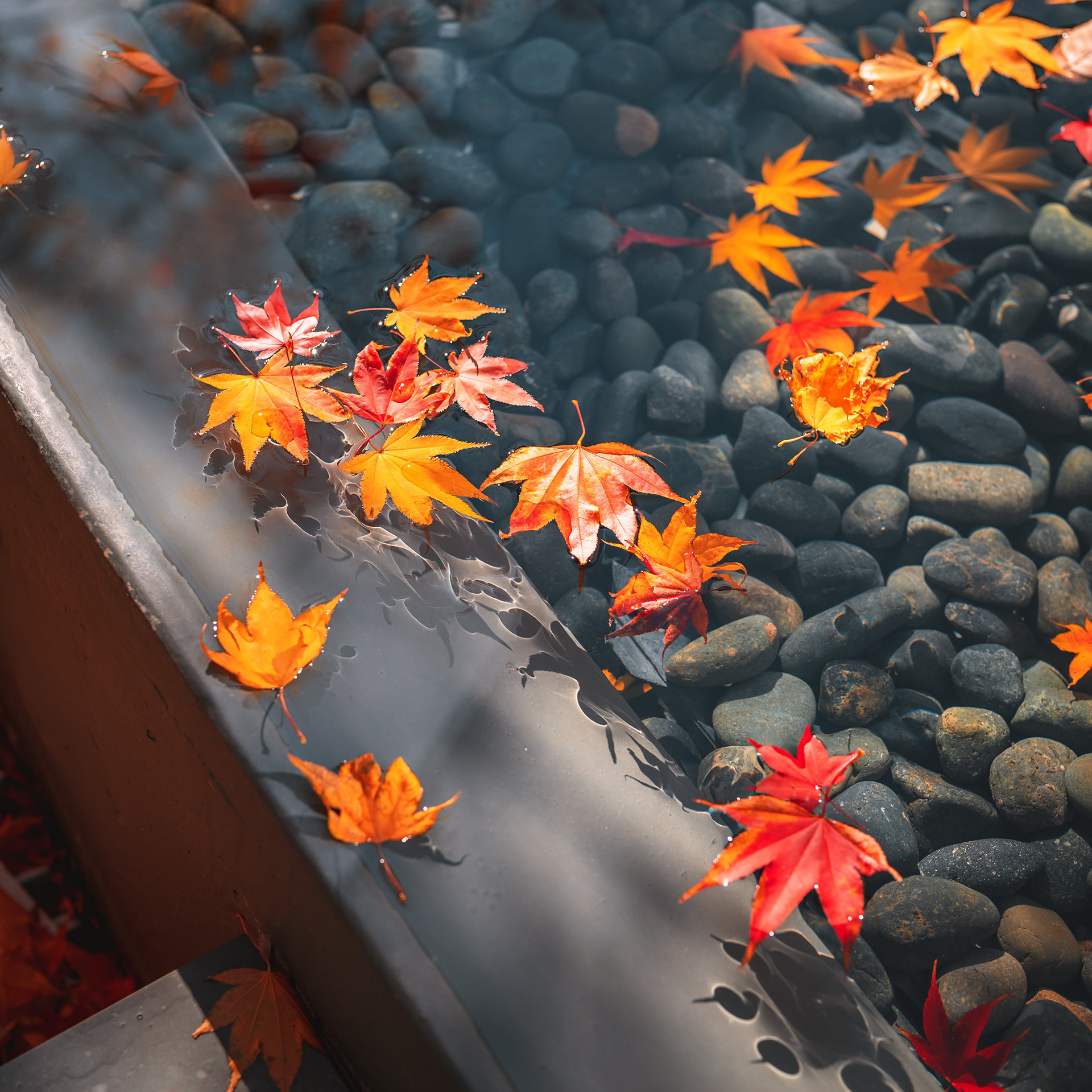 博物馆 SAN丨韩国原州市丨安藤忠雄-13