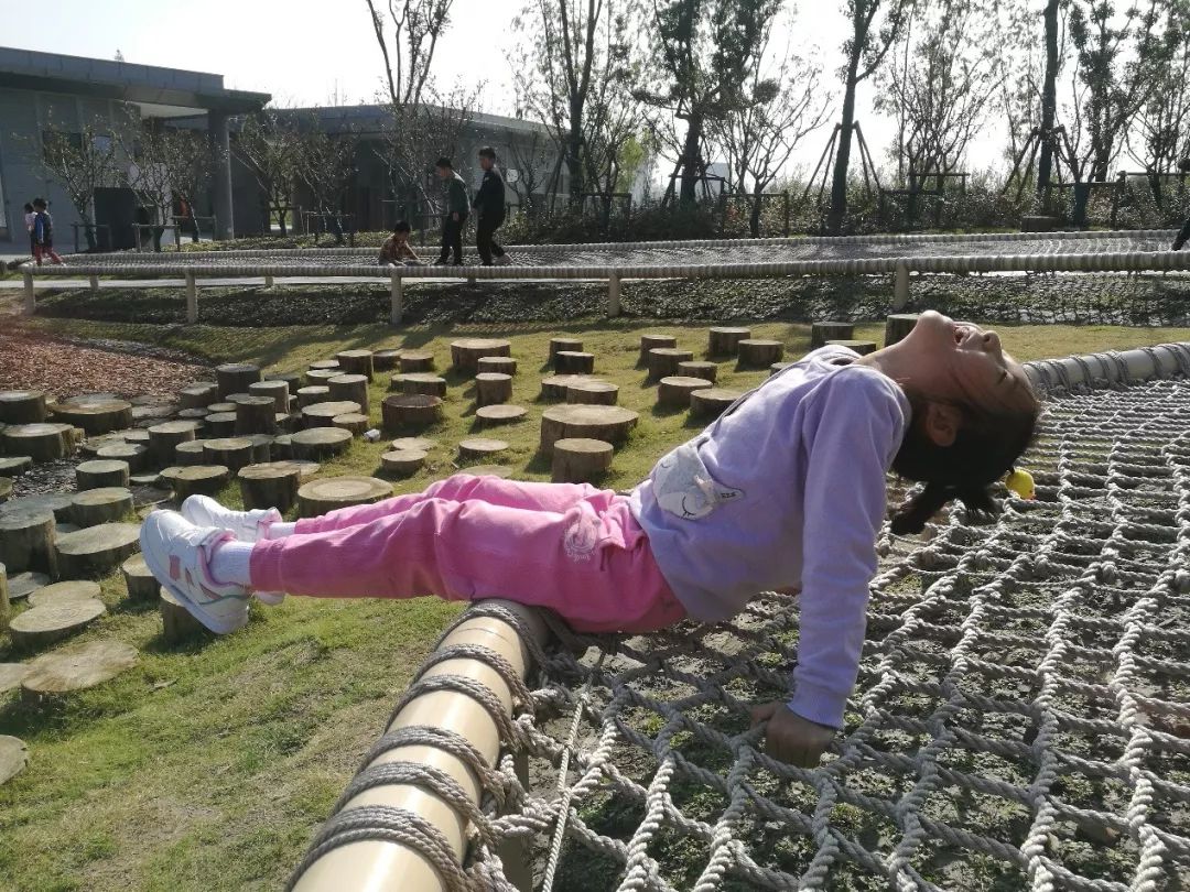 桃浦中央绿地 | 开放式绿地设计的典范-2