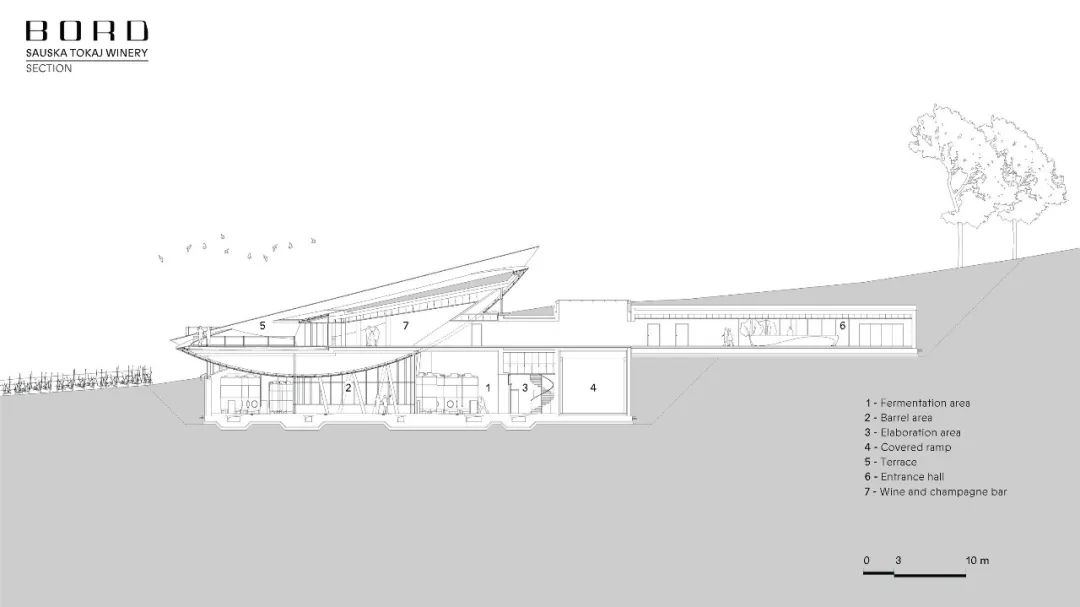 绍什卡·托卡伊酒庄丨匈牙利-32