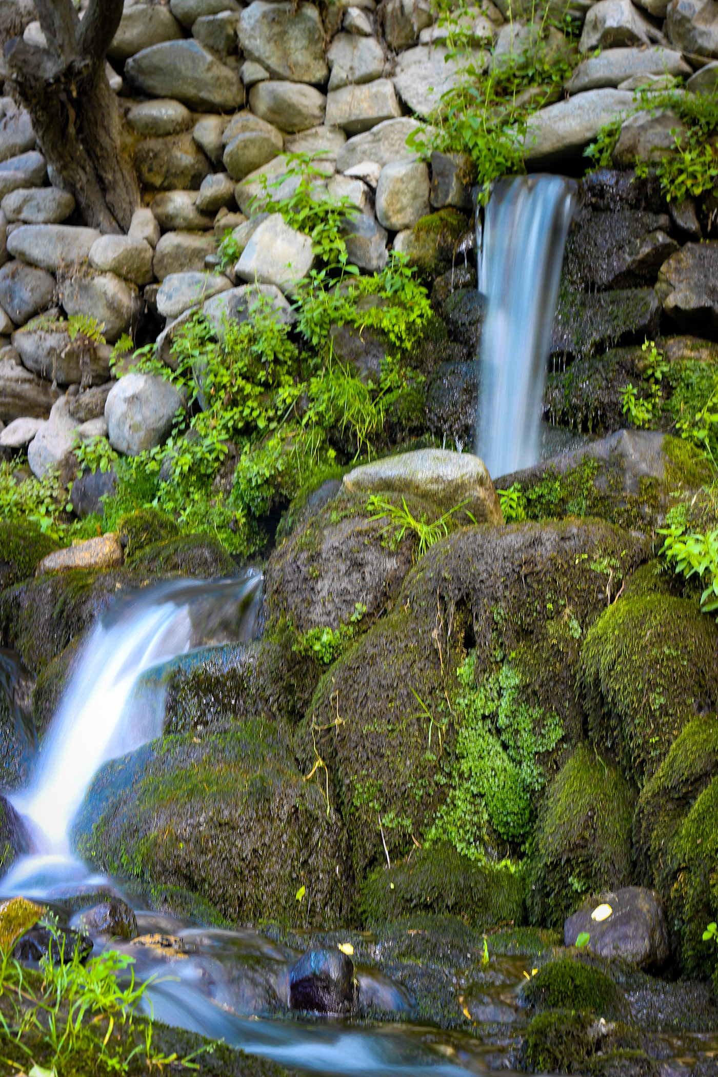 Nature Photography-8