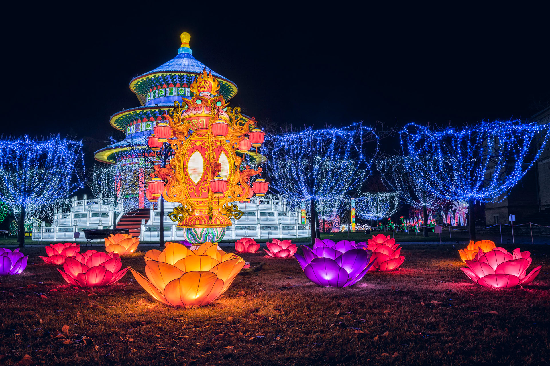 Festival Lanterne Gaillac 2017-18