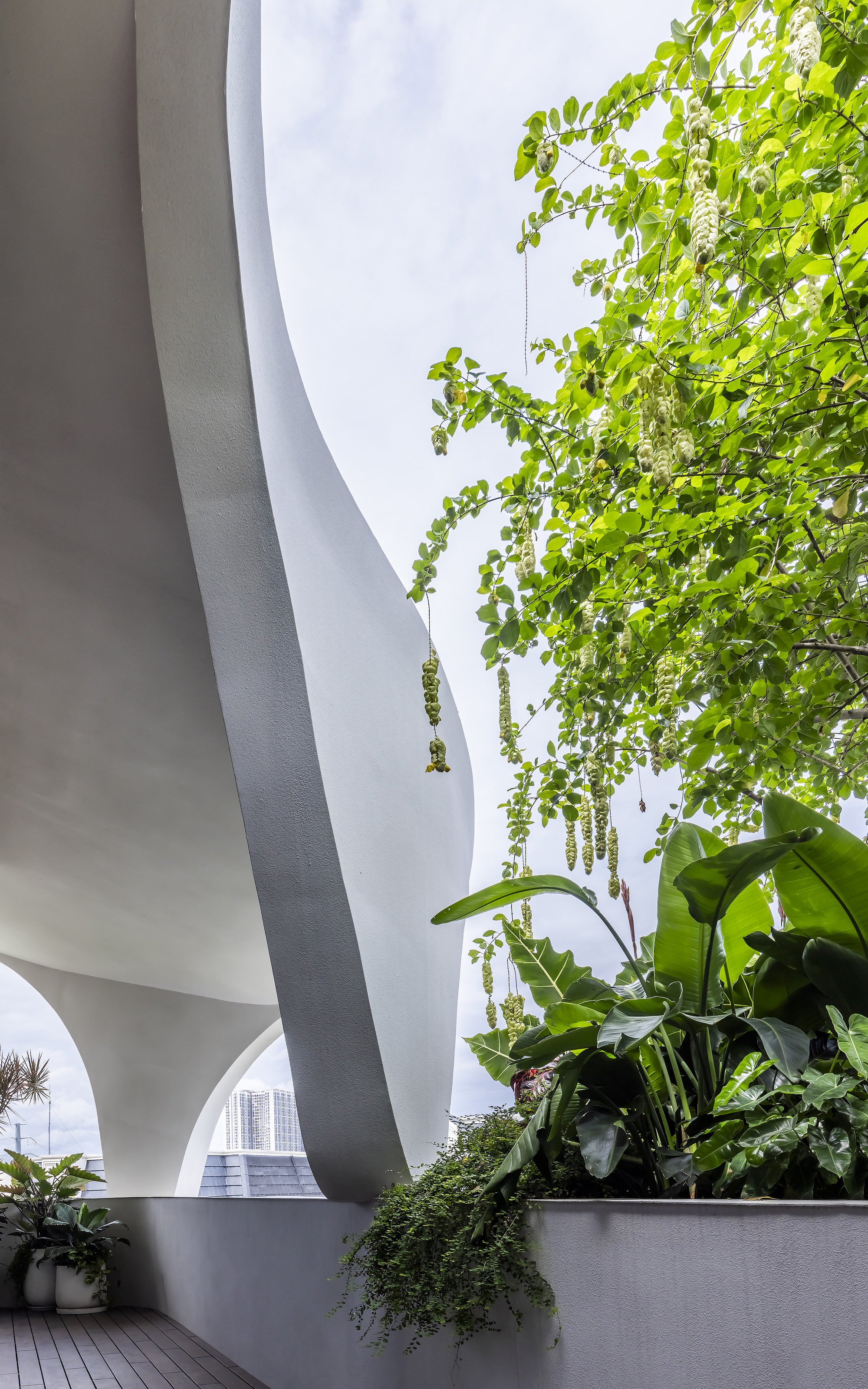 邦的家
注:Bống可能是人名,音译为邦,具体应以实际情况为准 丨越南胡志明市丨23o5Studio-24