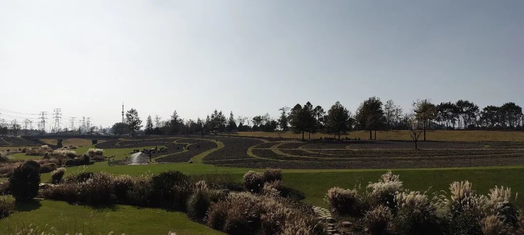 广富林遗址公园和辰山植物园考察丨中国上海丨亦境景观院-64