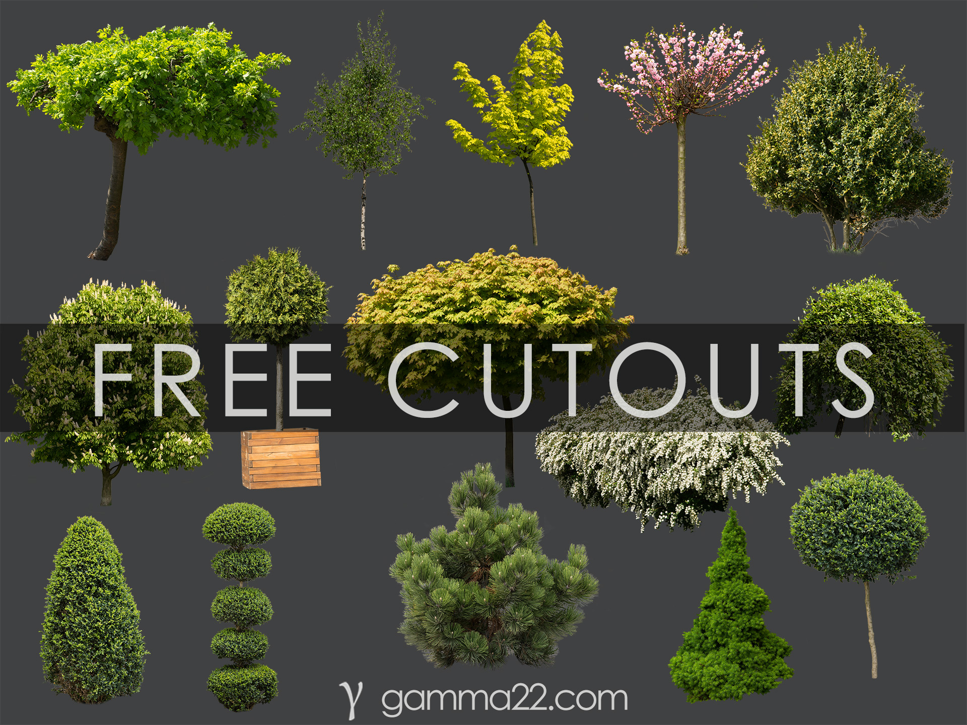 树木和灌木丛抠图-0