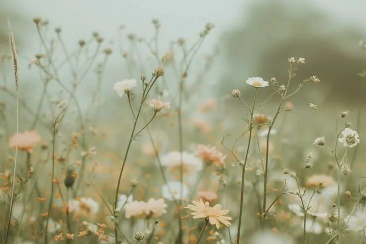 【蒂陌作品40期】中山·马鞍岛原墅樾堂丨500㎡独栋别墅:远离喧嚣,悠享惬意...-5