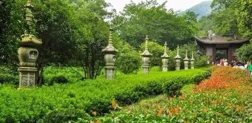 天易居-中国宅子丨天易居品牌-60