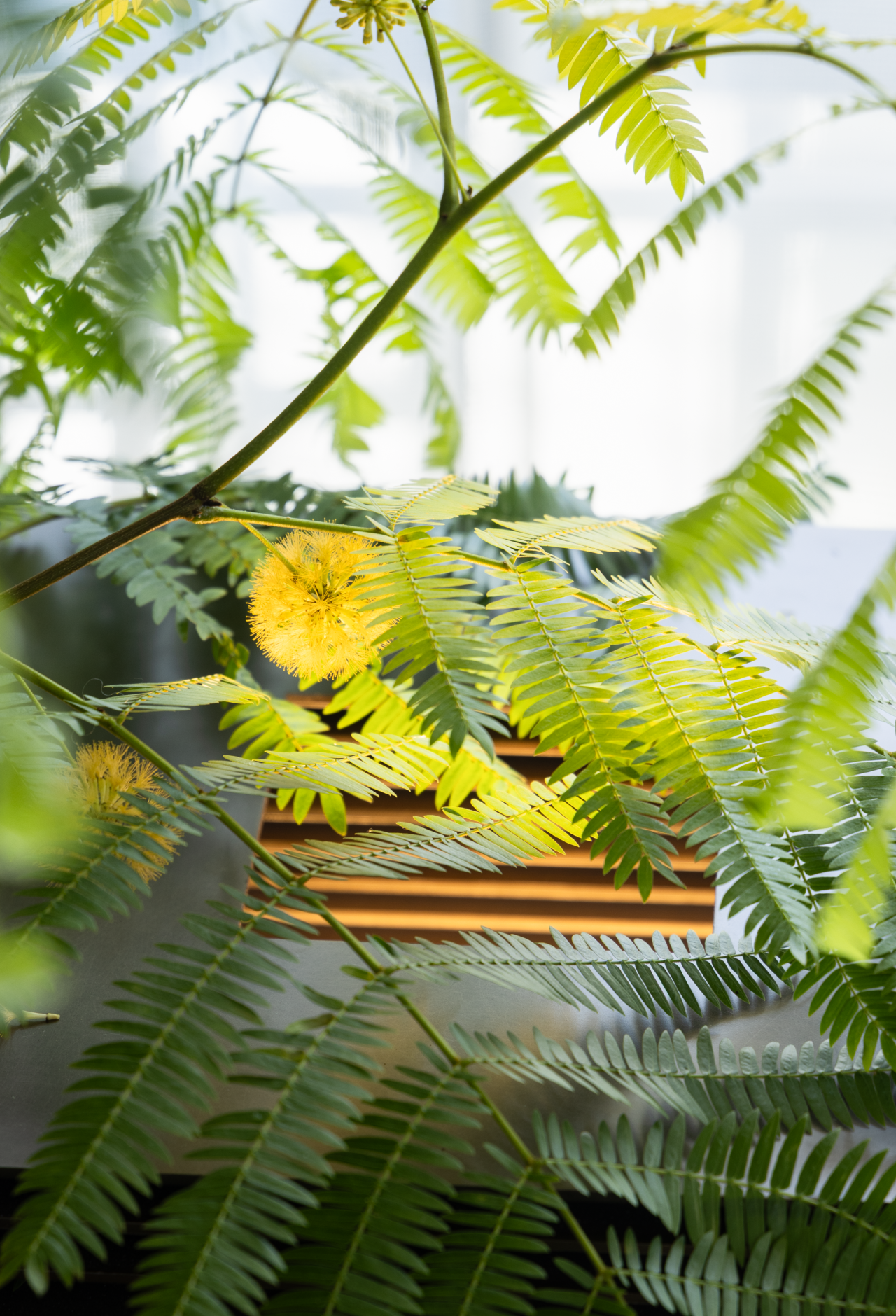 剧创中心 · 和院会所丨中国廊坊丨WAD璞羽设计-30