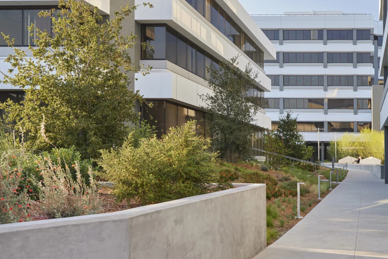 加州核桃溪·种植者广场丨Groundworks Office 设计事务所-17