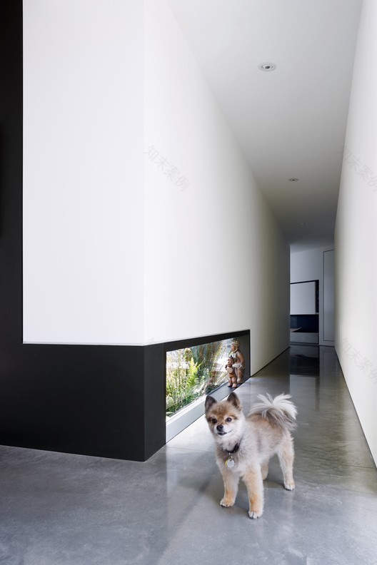 火山岩上的 Okada Marshall House-38