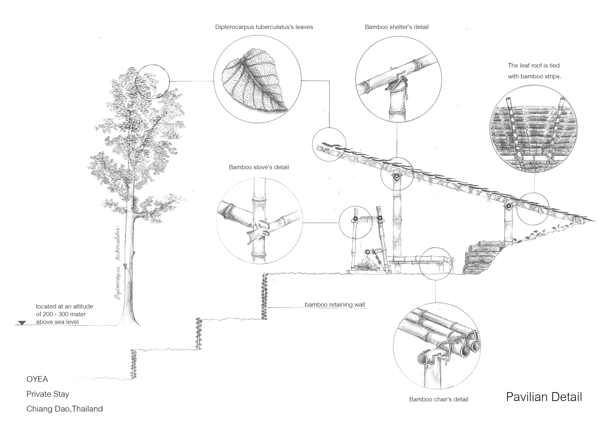 奥雅之家丨泰国丨Yangnar Studio-21