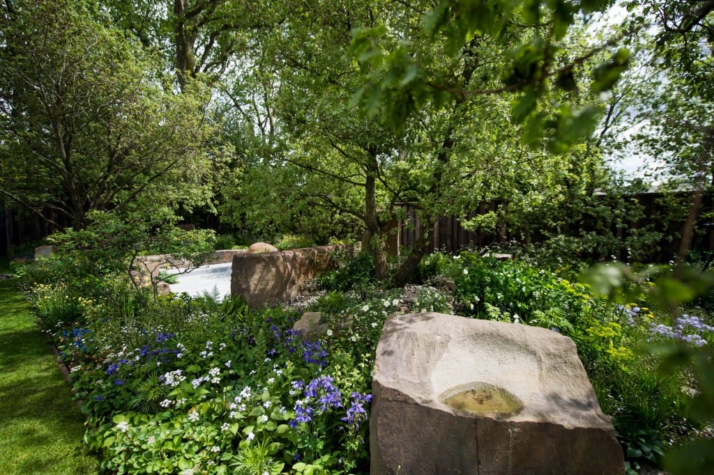 橡树林的回忆 | Cleve West 的 M&G 花园-15