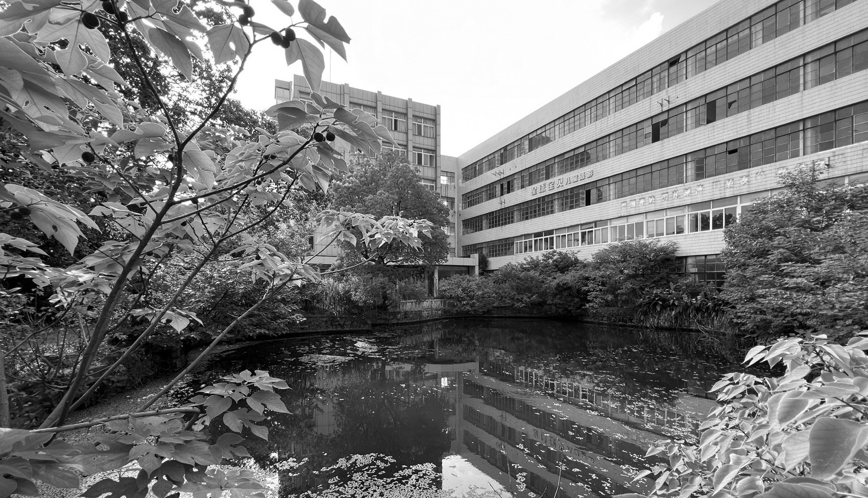 海盐非物质文化遗产馆丨中国嘉兴丨零壹城市建筑事务所-100