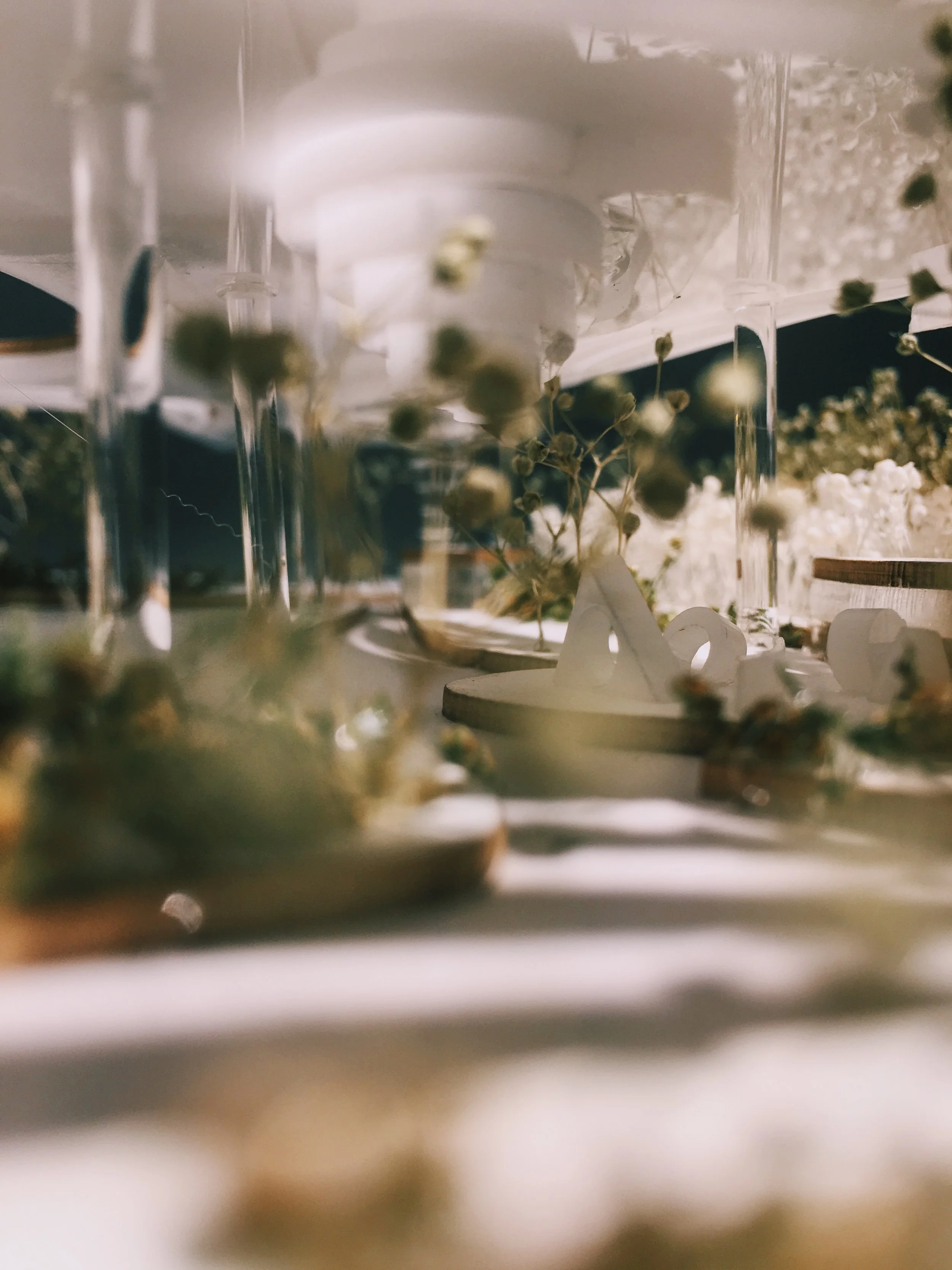 城市树木农场 + 公园丨美国曼哈顿-31