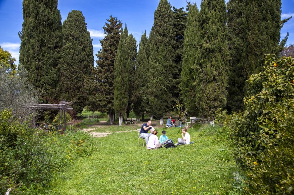 The Gardens of the International Perfumery Museum - France-15
