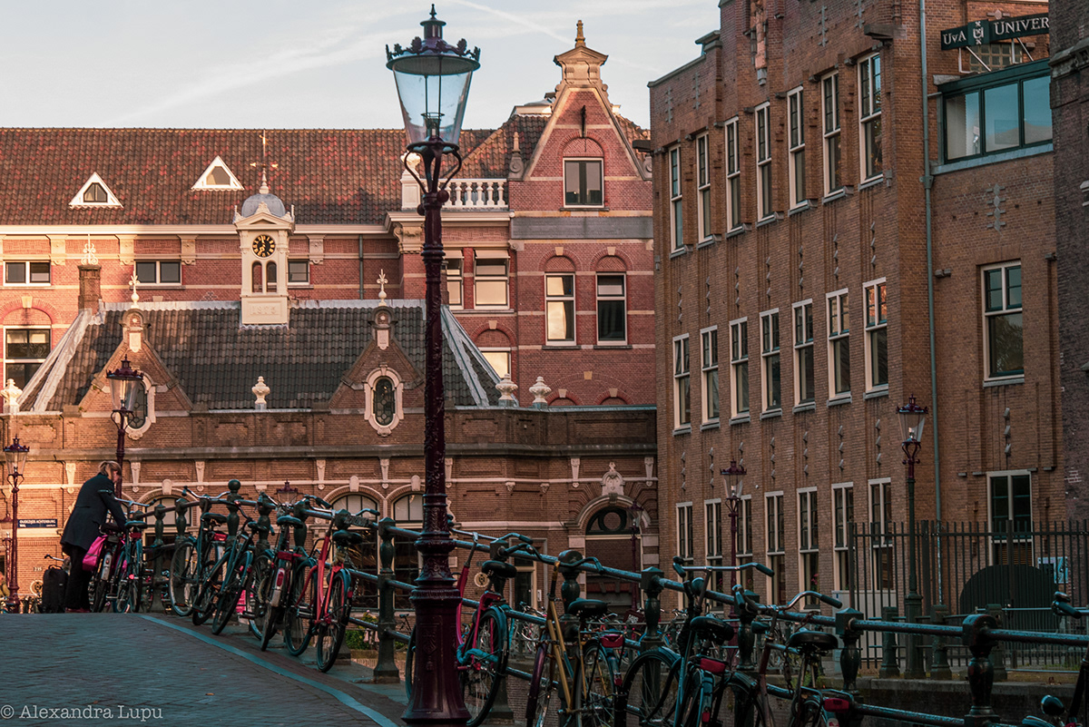 魅力秋日阿姆斯特丹丨荷兰阿姆斯特丹-11