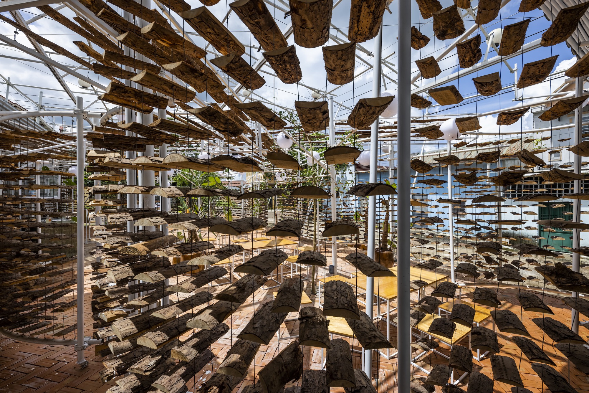 采茶,开花丨越南-22