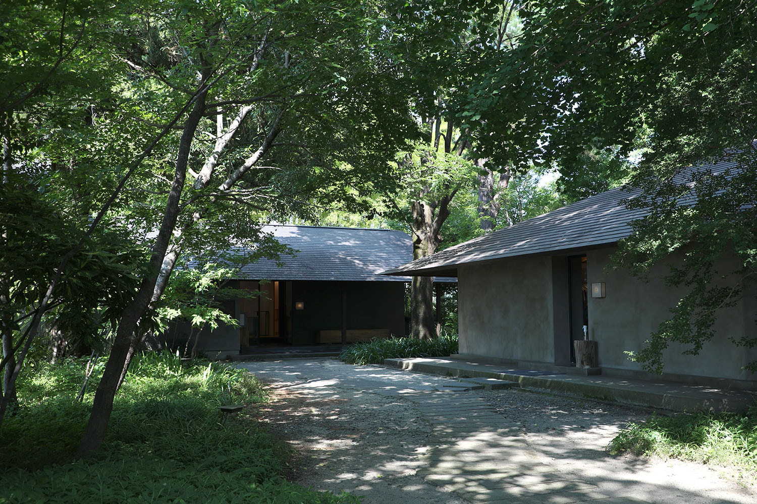 红松林中的然居丨日本丨奥野公章建筑设计事务所-57