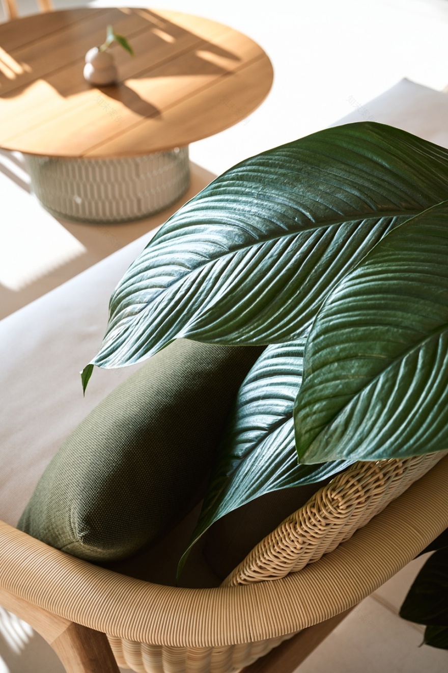 奥拉天空泳池丨阿联酋迪拜丨Kokaistudios-45