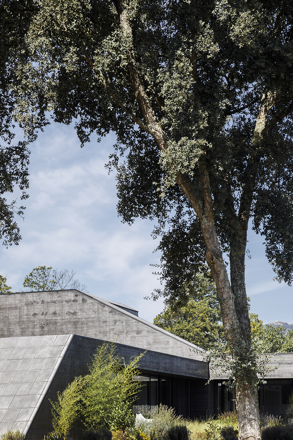 Sobreiros 别墅丨葡萄牙丨Hugo Pereira Arquitetos-106