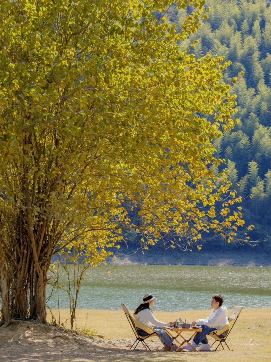 数一轮晨夕 折一朵明媚 | 安吉小杭坑营地-47