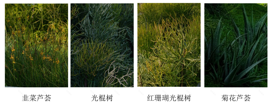 三亚海棠河生态公园(二期)·热带奇趣园丨中国三亚丨LOLA Landscape Architects B.V.-51