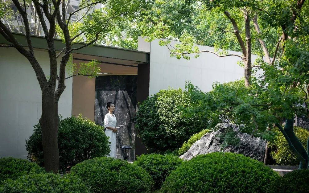 金沙操盘 | 成功经验：从河南火到全国各地（实地考察+主题演讲）-88