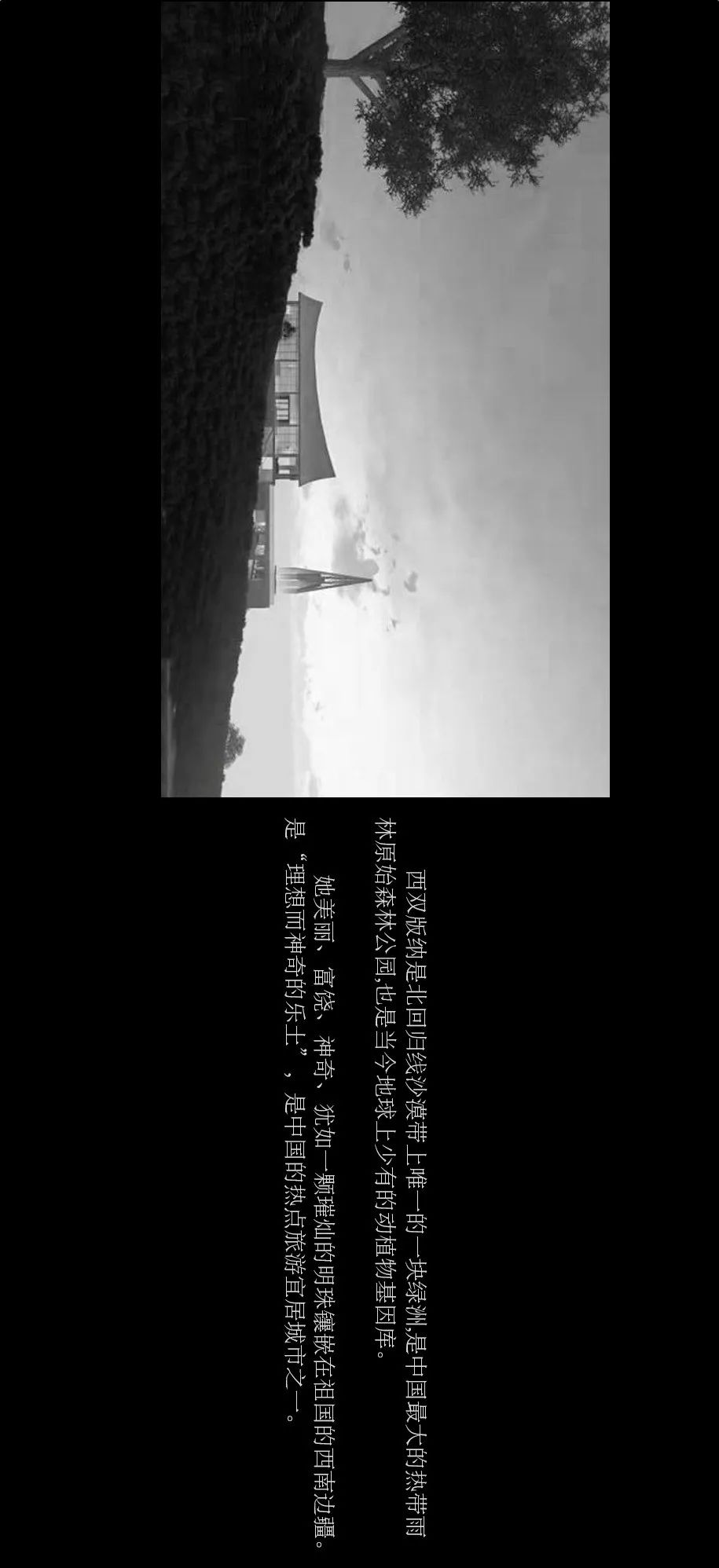 融创·观澜云顶销售中心丨中国西双版纳丨重庆米修室内设计有限公司,深圳齐晋空间设计-3